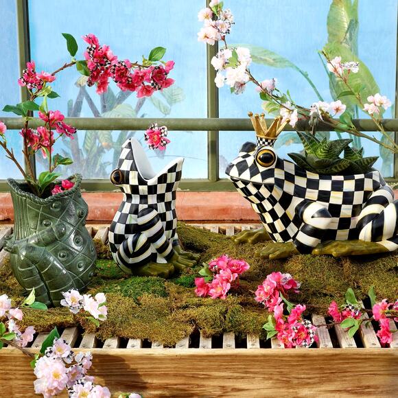 Mackenzie-Childs Fergal the Frog Planter NEW - Picture 5 of 5